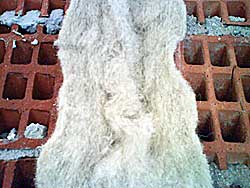 Wärmedämmwolle Schaf of Gebäude