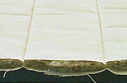 Interne schallabsorbierenden Platten (Abschnitt)